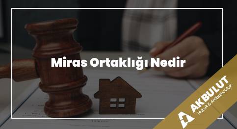 Miras Ortaklığı Nedir