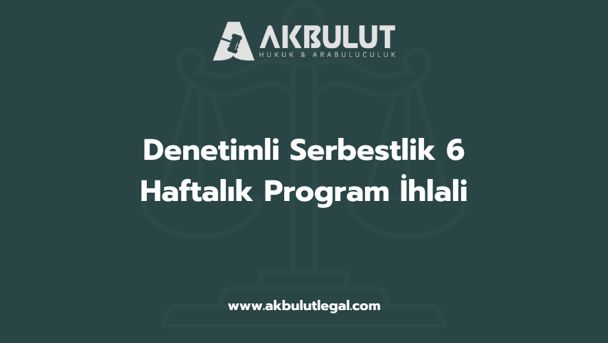 Denetimli Serbestlik 6 Haftalık Program İhlali