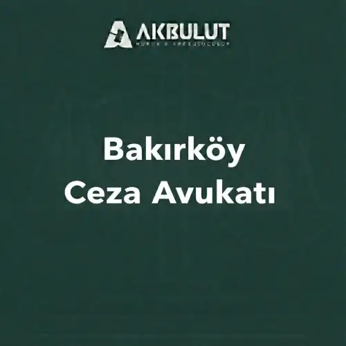 bakırköy ceza avukatı